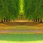 Mengambil Nafas di Luar Ruangan sebagai Jeda Ringan