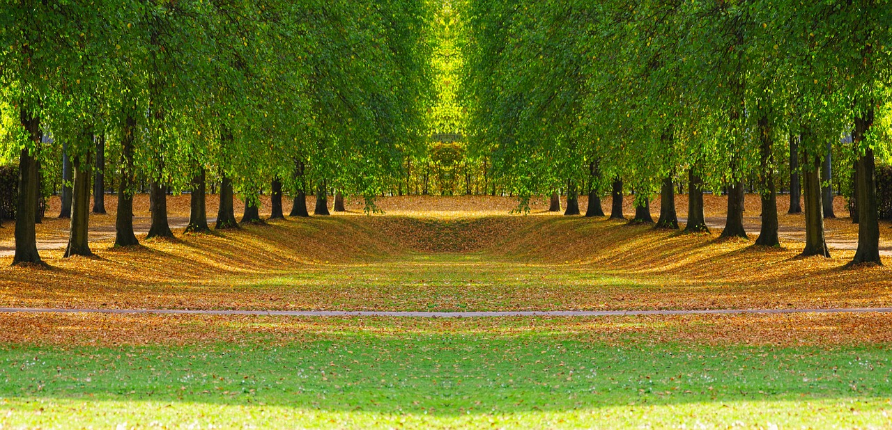 Mengambil Nafas di Luar Ruangan sebagai Jeda Ringan