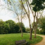 Menikmati Cahaya Hari Sebagai Teman yang Lembut